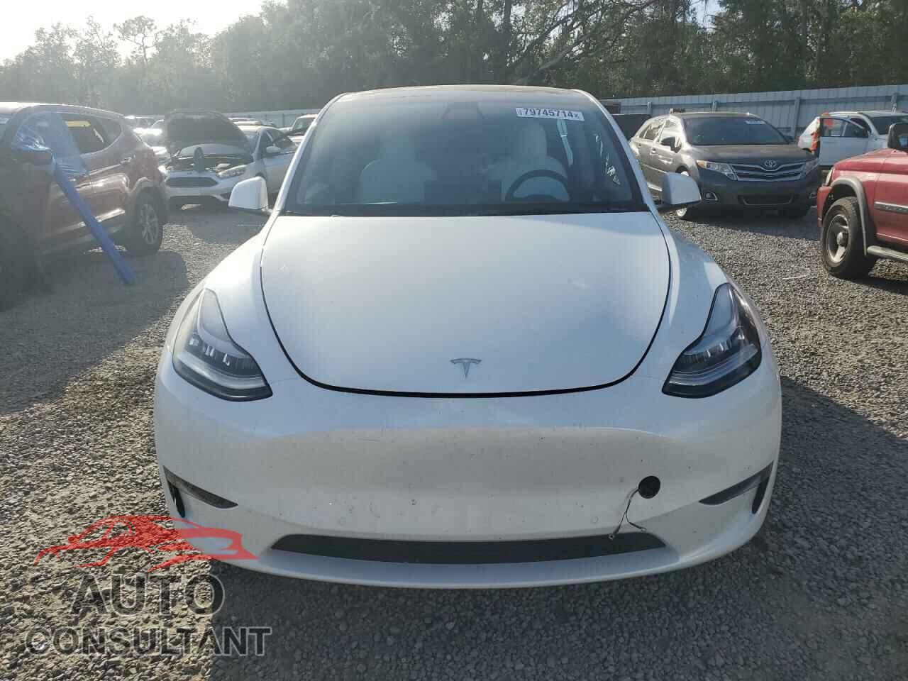 TESLA MODEL Y 2022 - 7SAYGAEE5NF466687