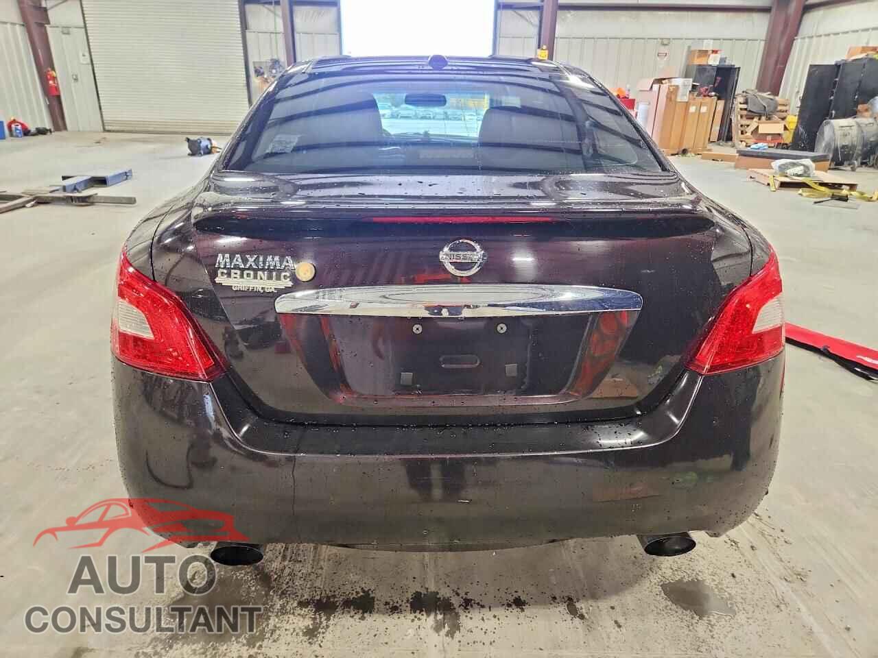 NISSAN MAXIMA 2010 - 1N4AA5AP1AC817090