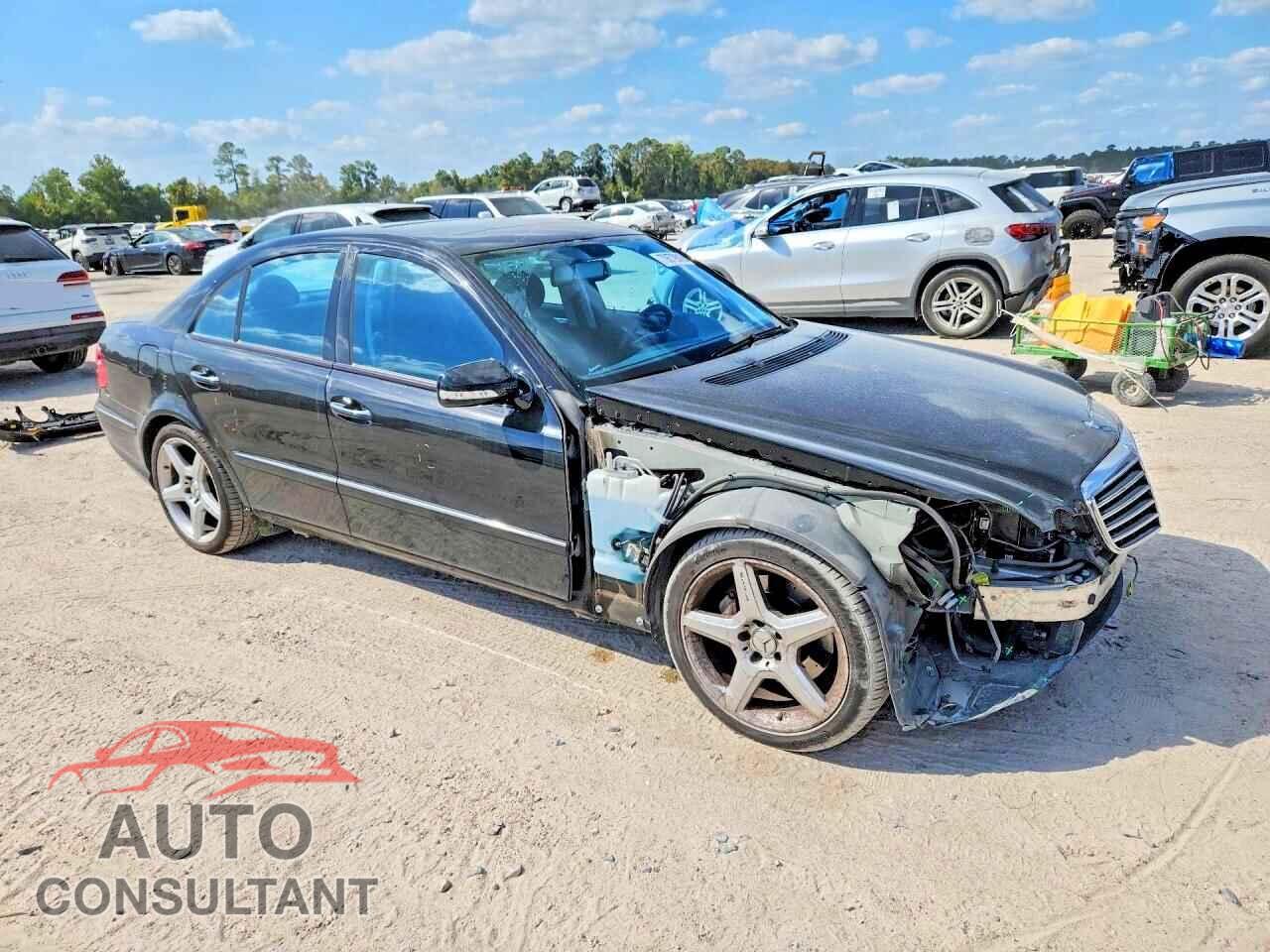 MERCEDES-BENZ E-CLASS 2009 - WDBUF56X69B424073