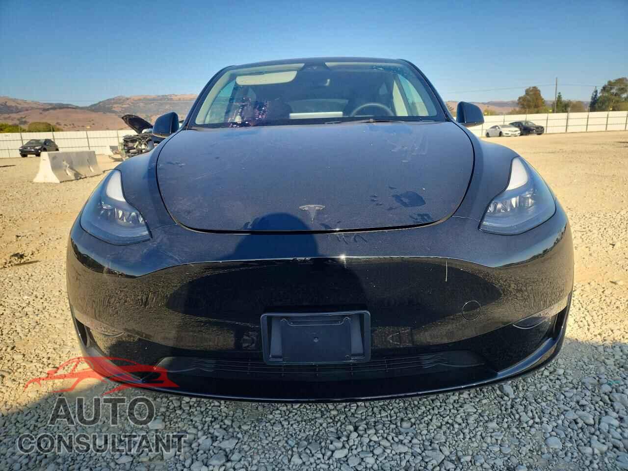 TESLA MODEL Y 2024 - 7SAYGDEE1RF032502