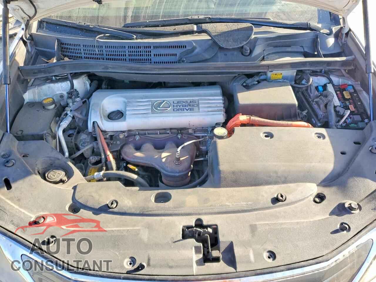 LEXUS HS 2010 - JTHBB1BA7A2020362