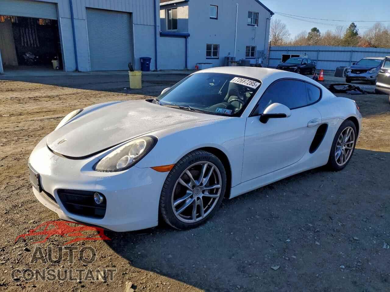 PORSCHE CAYMAN 2015 - WP0AA2A84FK164253