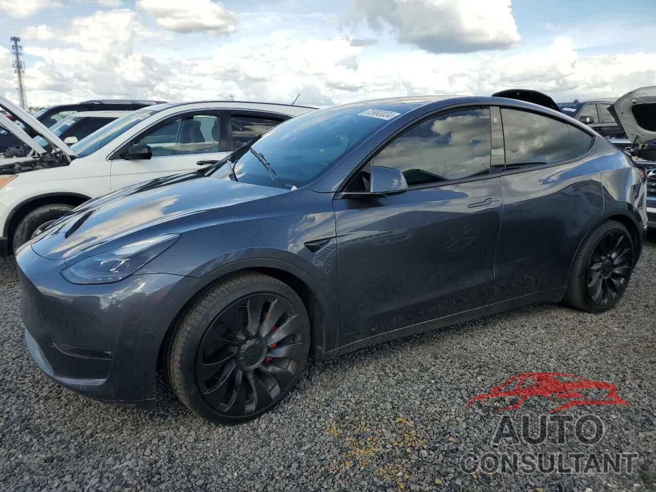 TESLA MODEL Y 2022 - 7SAYGDEF2NF448674