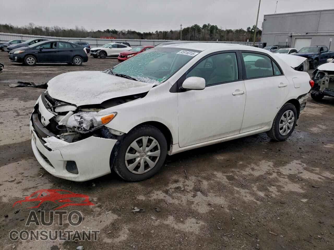 TOYOTA COROLLA 2011 - 2T1BU4EE6BC650601