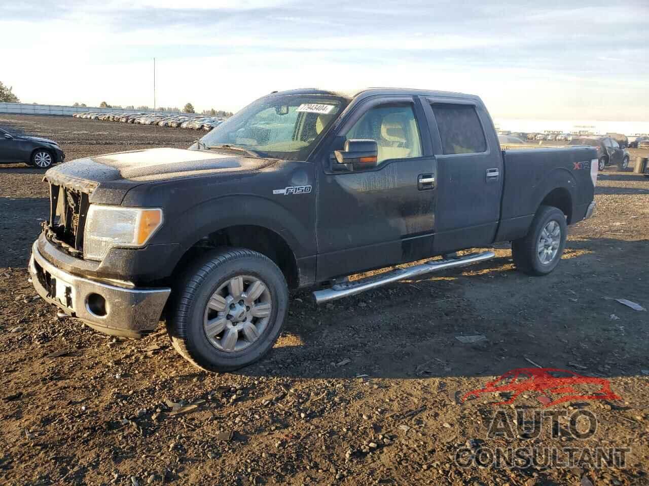 FORD F-150 2010 - 1FTFW1EV9AFD21293