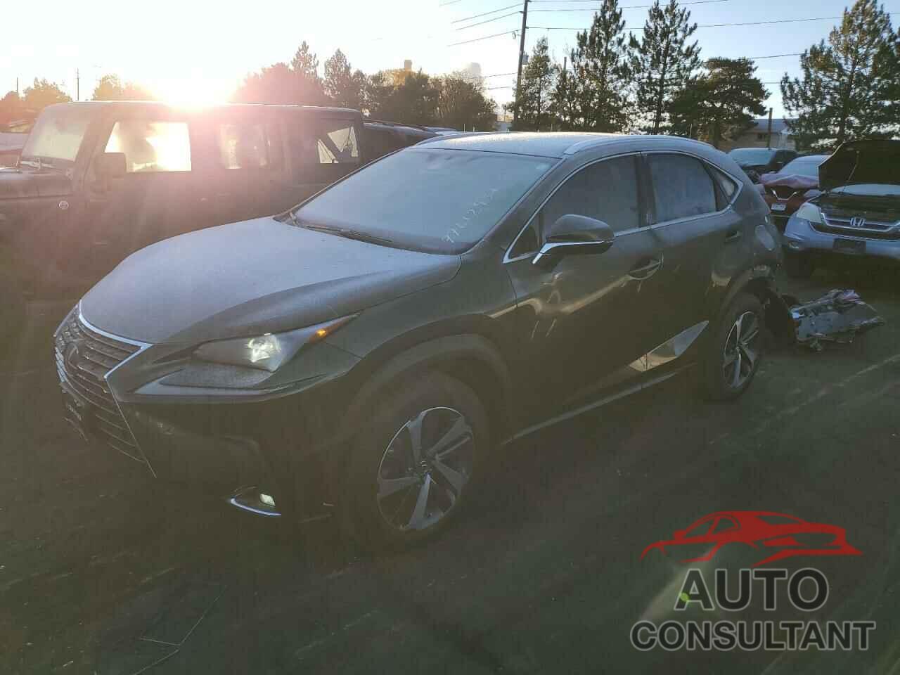 LEXUS NX 2021 - JTJGARDZ7M2259276