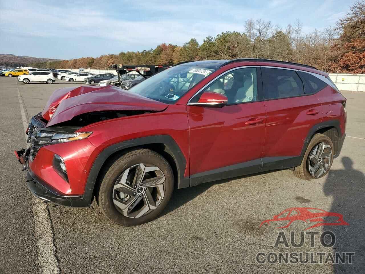 HYUNDAI TUCSON 2024 - 5NMJECDE0RH437149