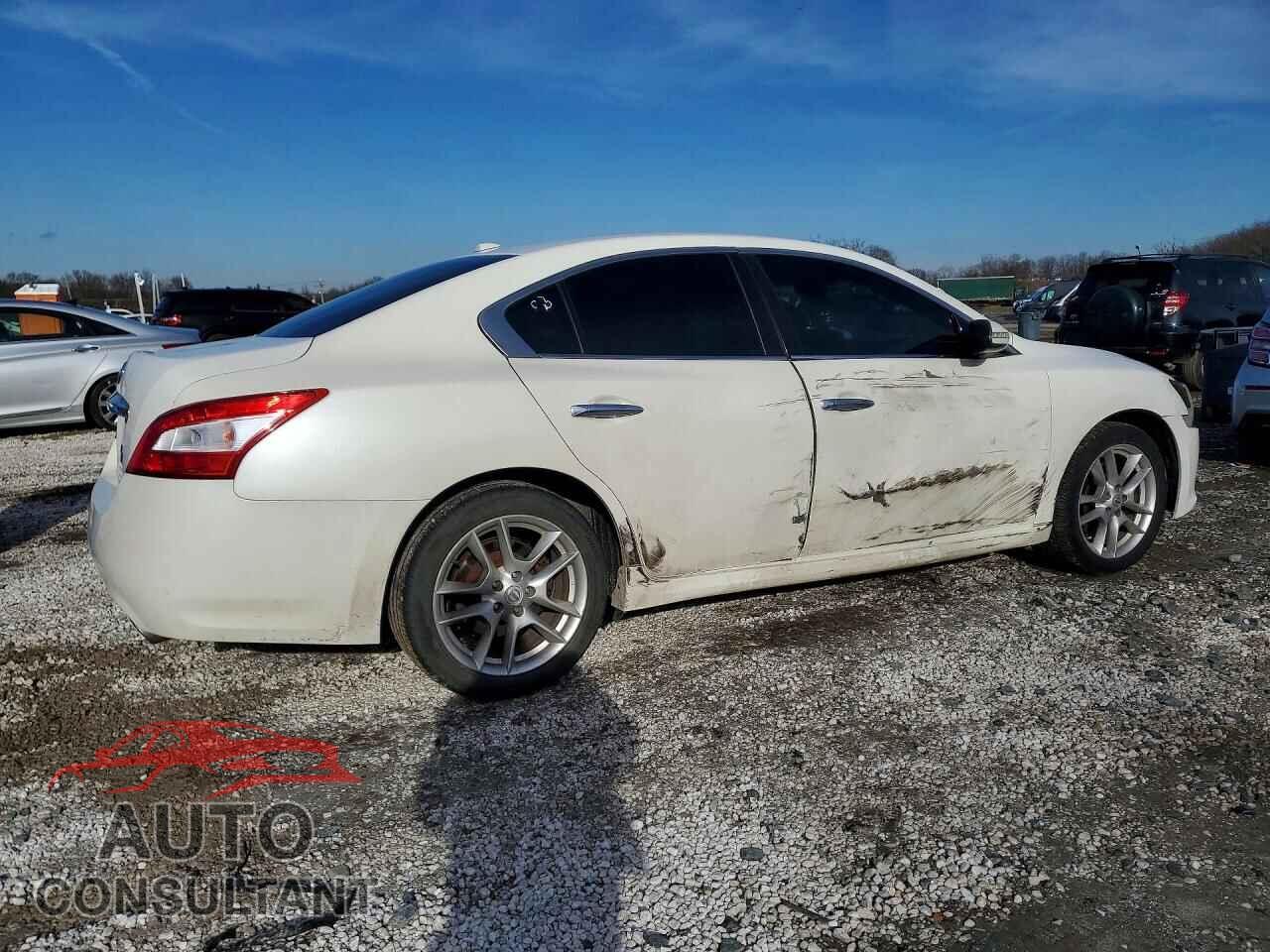 NISSAN MAXIMA 2011 - 1N4AA5AP9BC849769