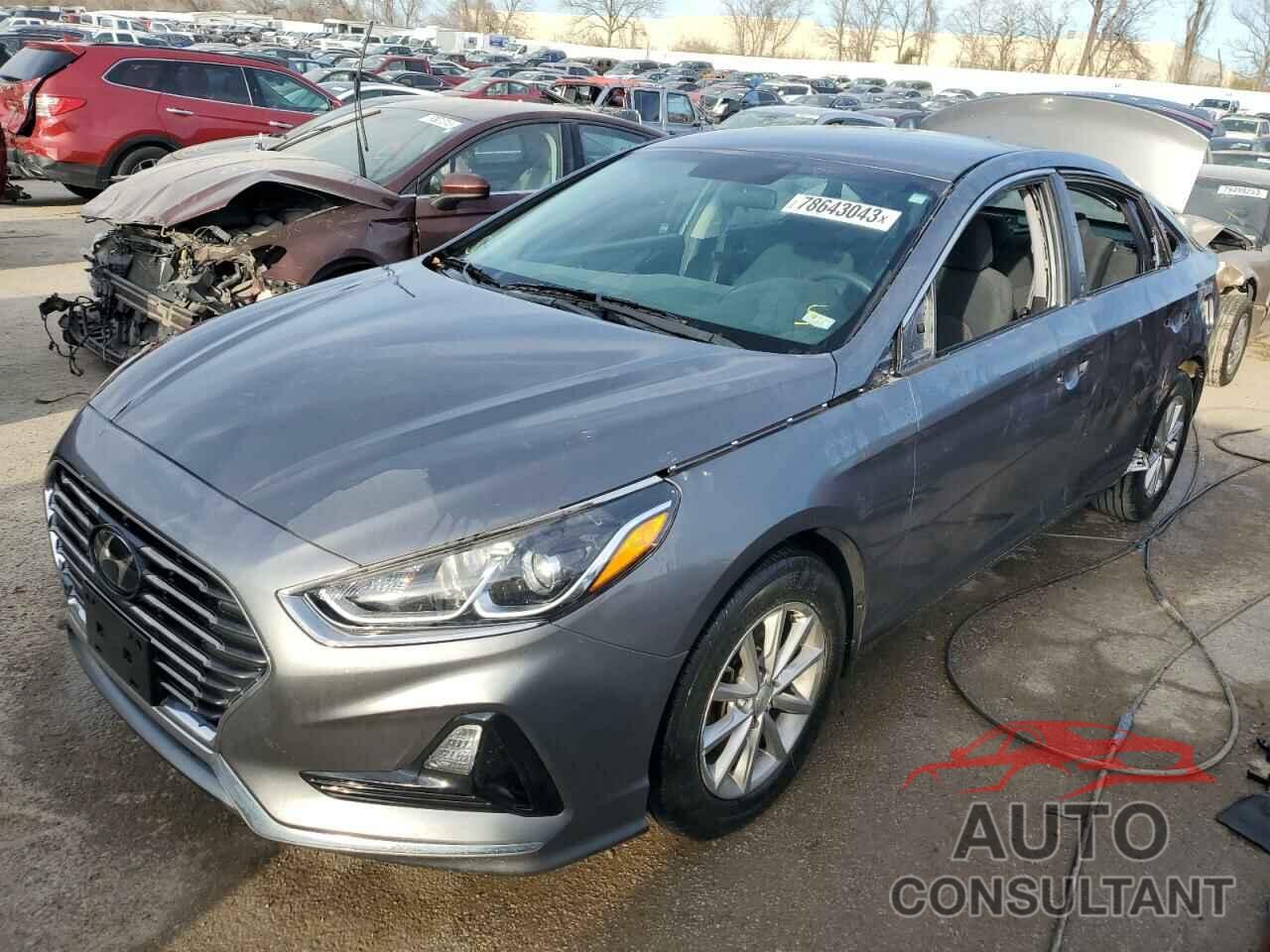 HYUNDAI SONATA 2019 - 5NPE24AF0KH817940