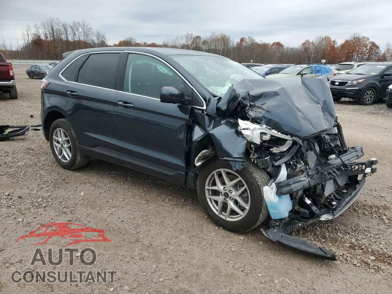 FORD EDGE 2024 - 2FMPK4J95RBA66645