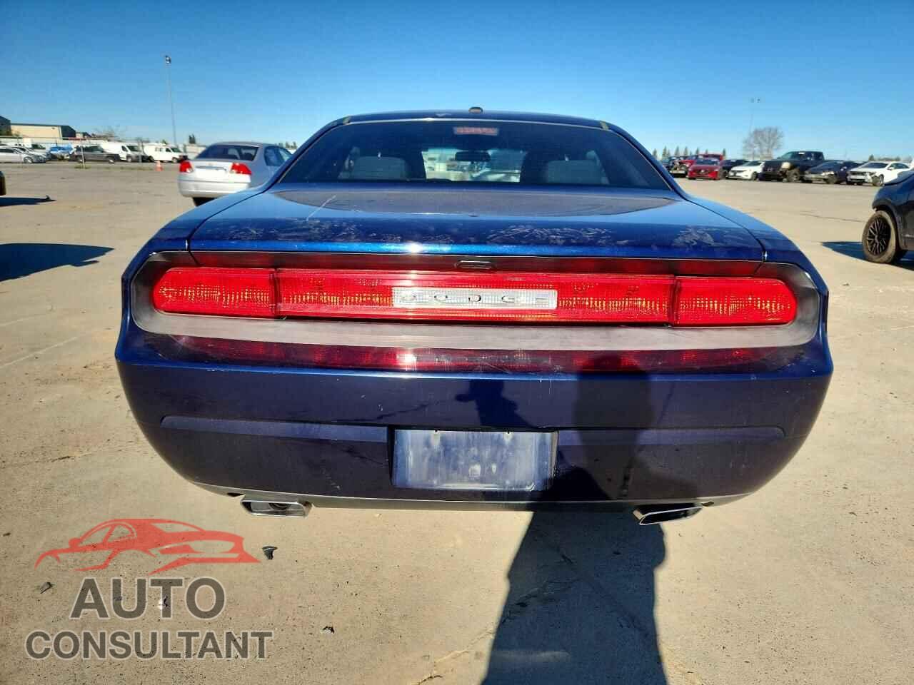 DODGE CHALLENGER 2013 - 2C3CDYAG3DH691963