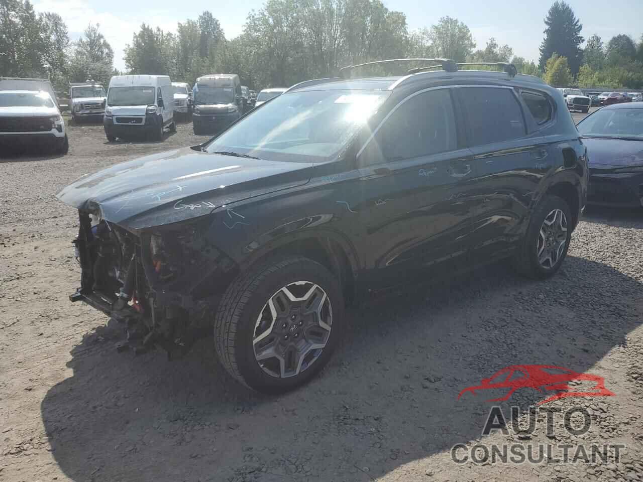 HYUNDAI SANTA FE 2021 - KM8S5DA16MU009174