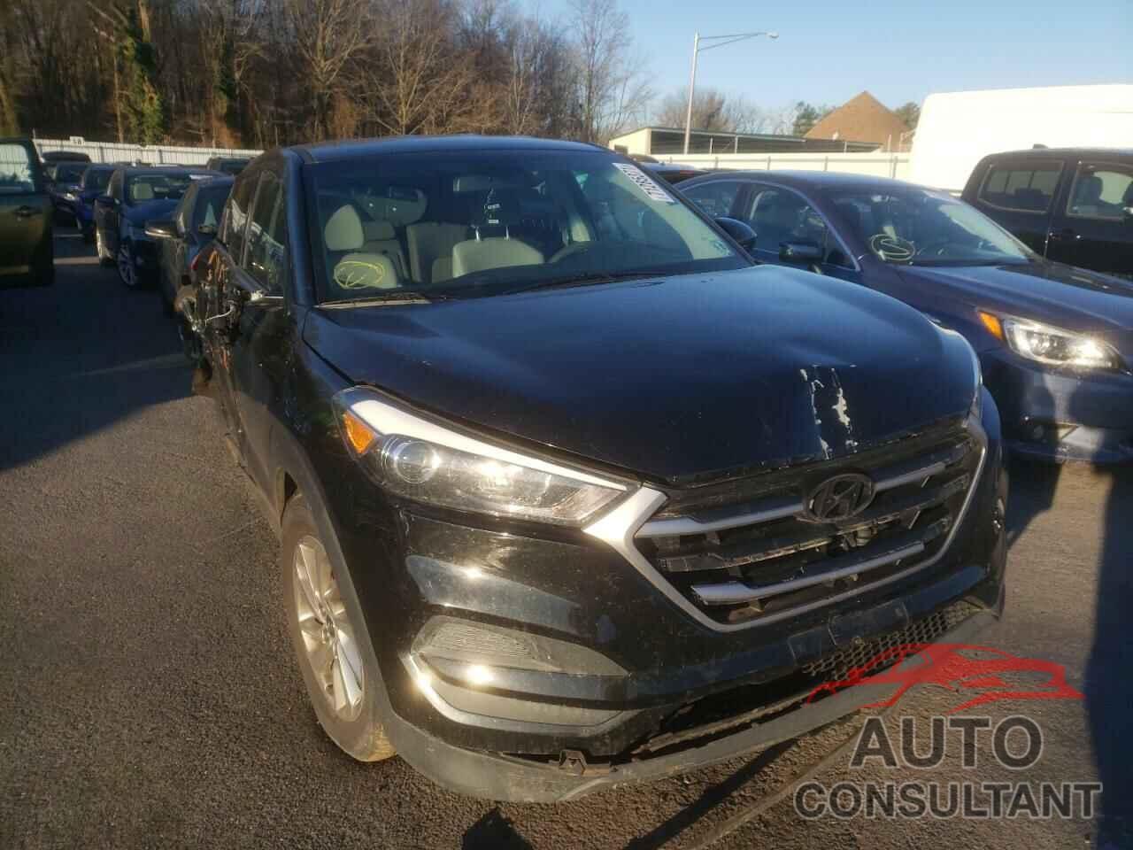 HYUNDAI TUCSON 2018 - KM8J2CA43JU660251