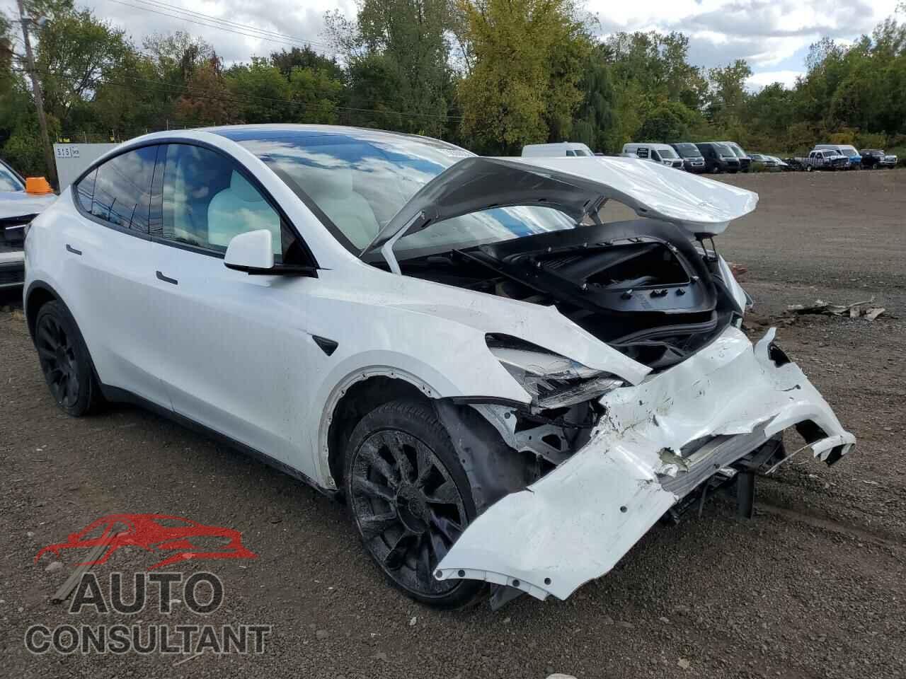 TESLA MODEL Y 2020 - 5YJYGDEEXLF042983