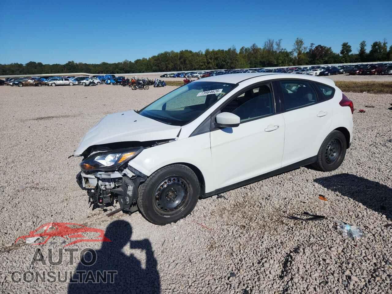 FORD FOCUS 2012 - 1FAHP3K29CL204903