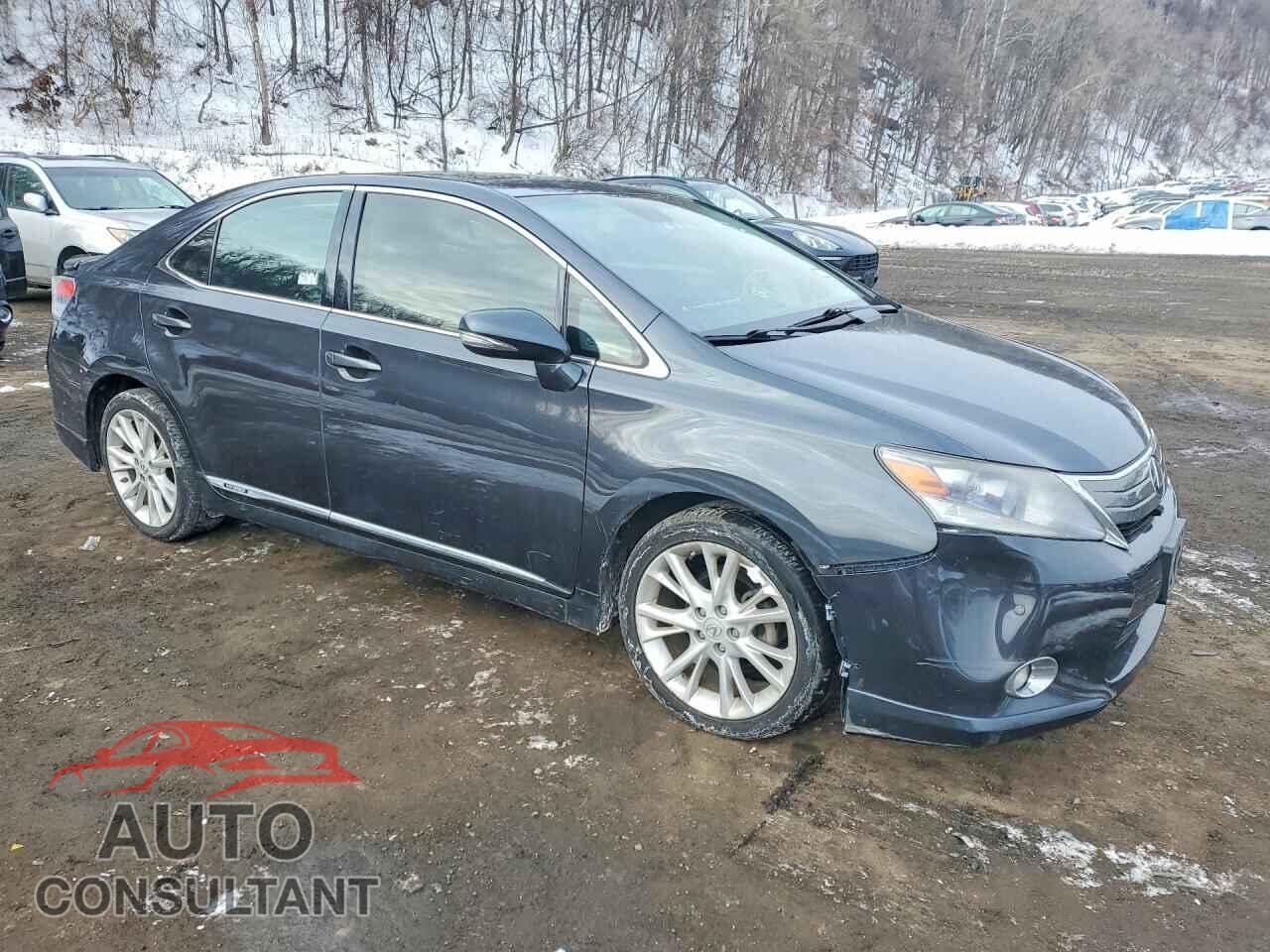 LEXUS HS 2010 - JTHBB1BA1A2020440