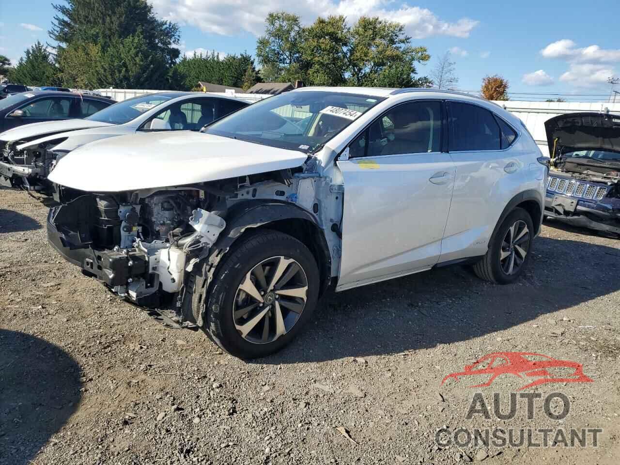 LEXUS NX 2020 - JTJGJRDZ0L5003610