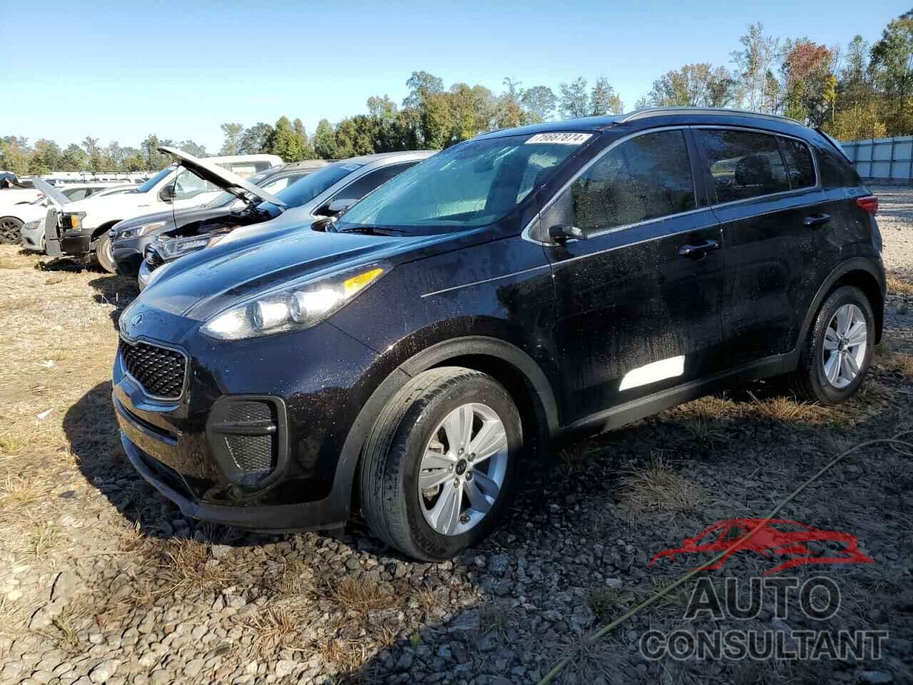 KIA SPORTAGE 2019 - KNDPM3AC8K7555575