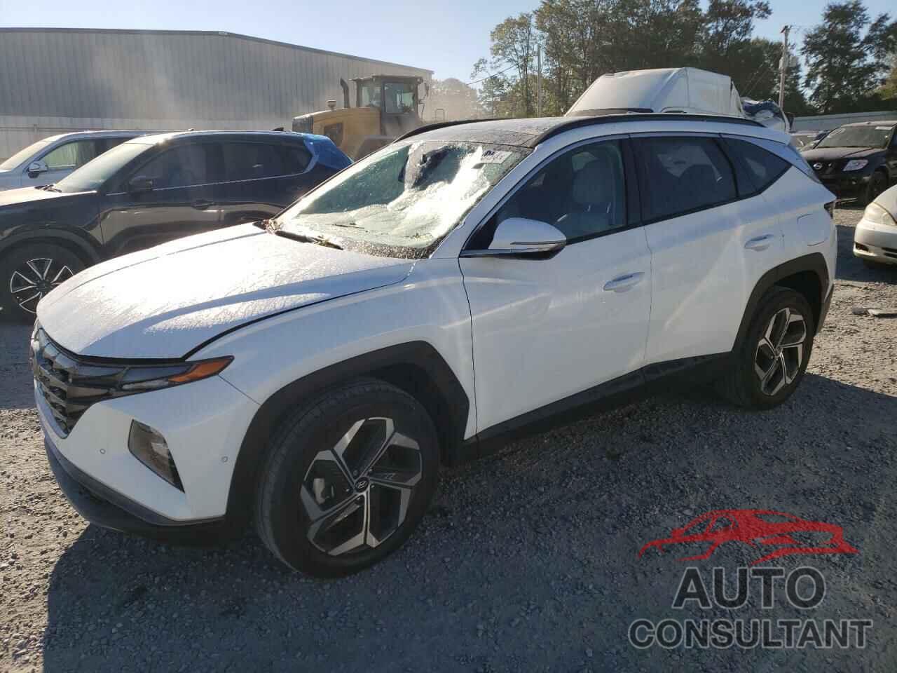 HYUNDAI TUCSON 2024 - 5NMJECDEXRH303118