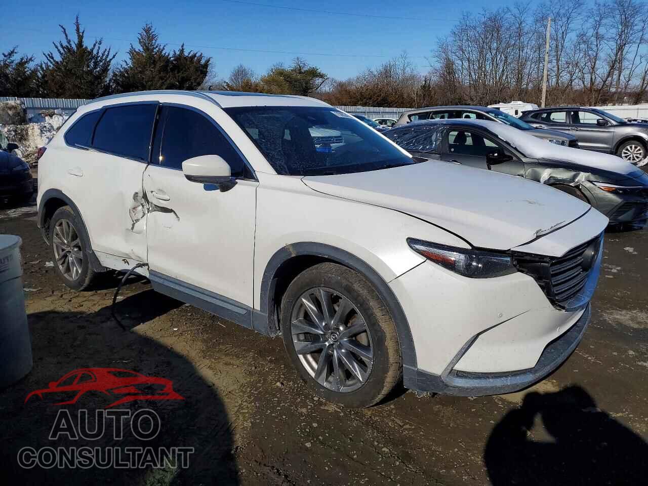 MAZDA CX-9 2019 - JM3TCADY8K0312569