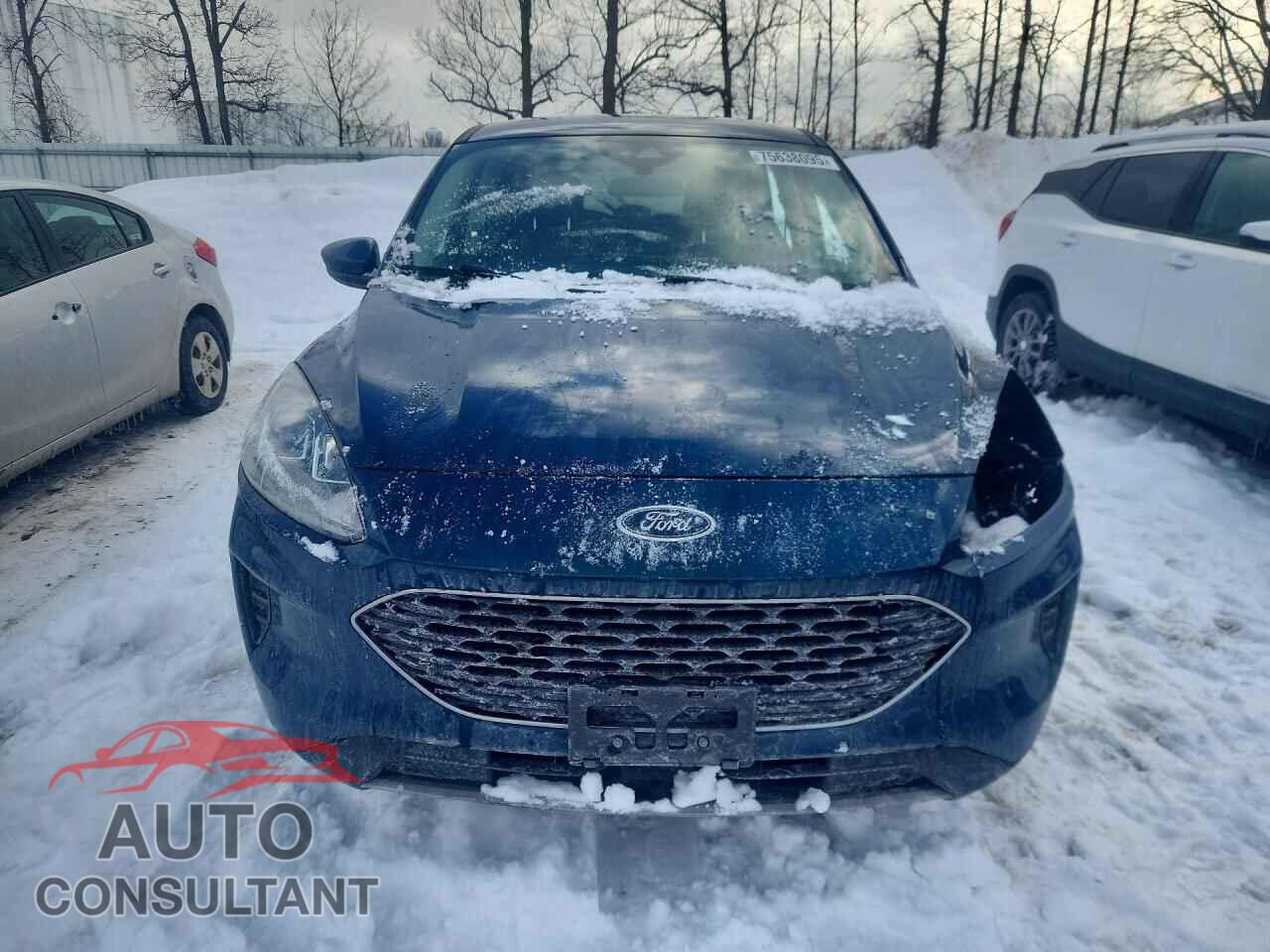 FORD ESCAPE 2020 - 1FMCU9G61LUA38362
