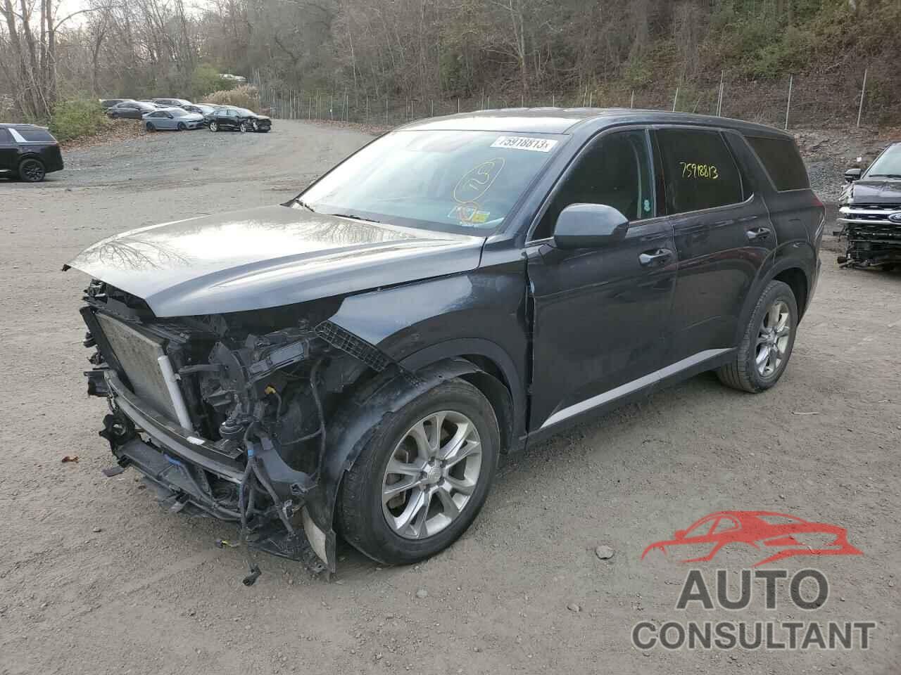 HYUNDAI PALISADE 2020 - KM8R1DHE5LU036030