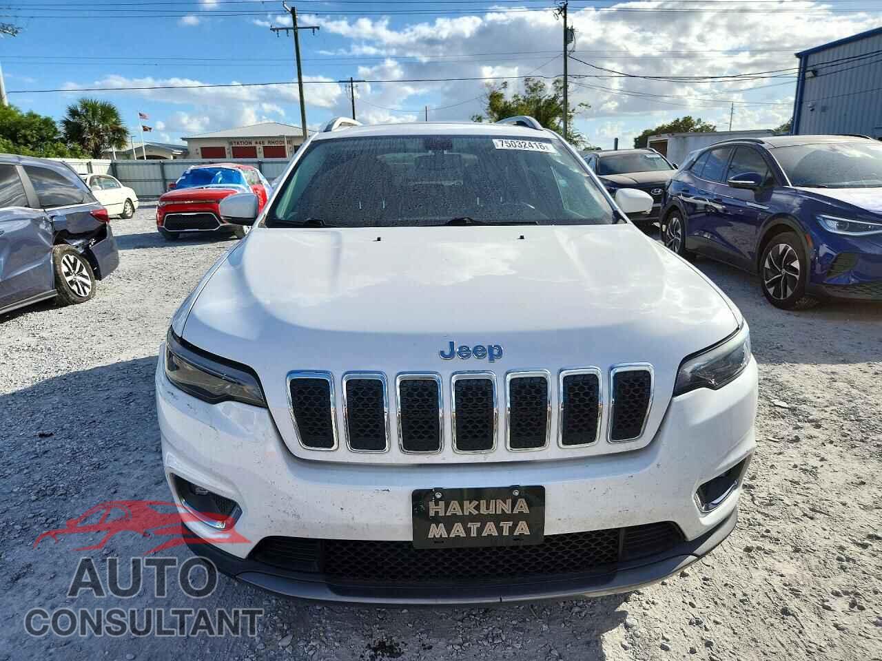 JEEP CHEROKEE 2019 - 1C4PJMDN8KD123789
