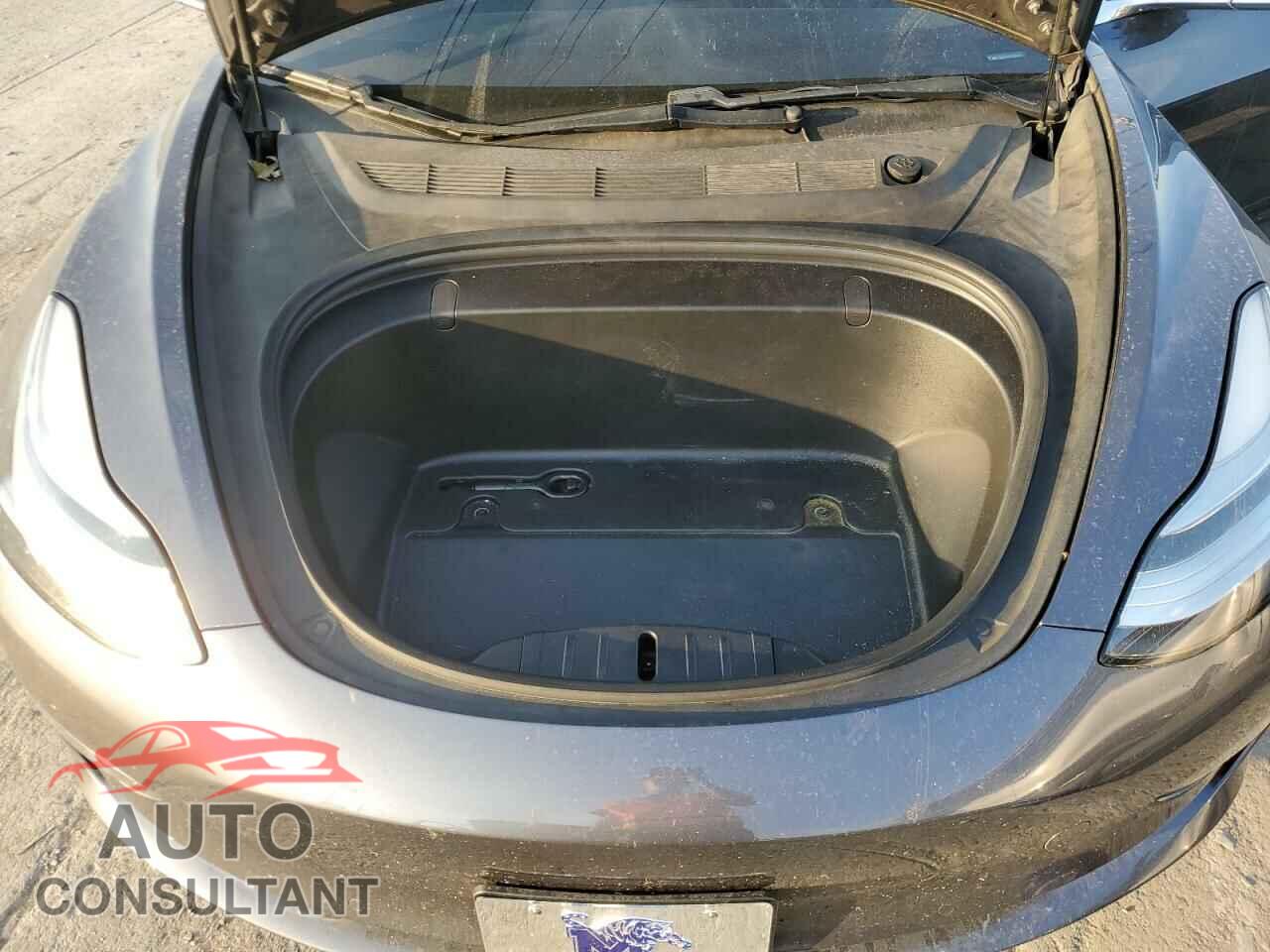 TESLA MODEL 3 2019 - 5YJ3E1EA6KF483455