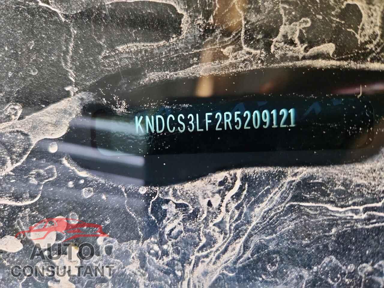 KIA UNKNOWN 2024 - KNDCS3LF2R5209121