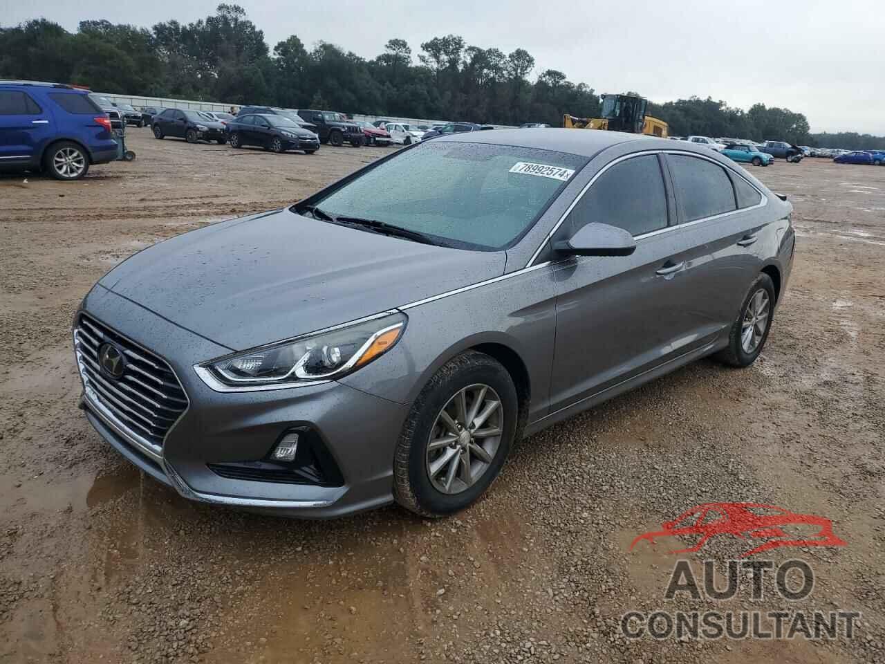 HYUNDAI SONATA 2019 - 5NPE24AF9KH747757