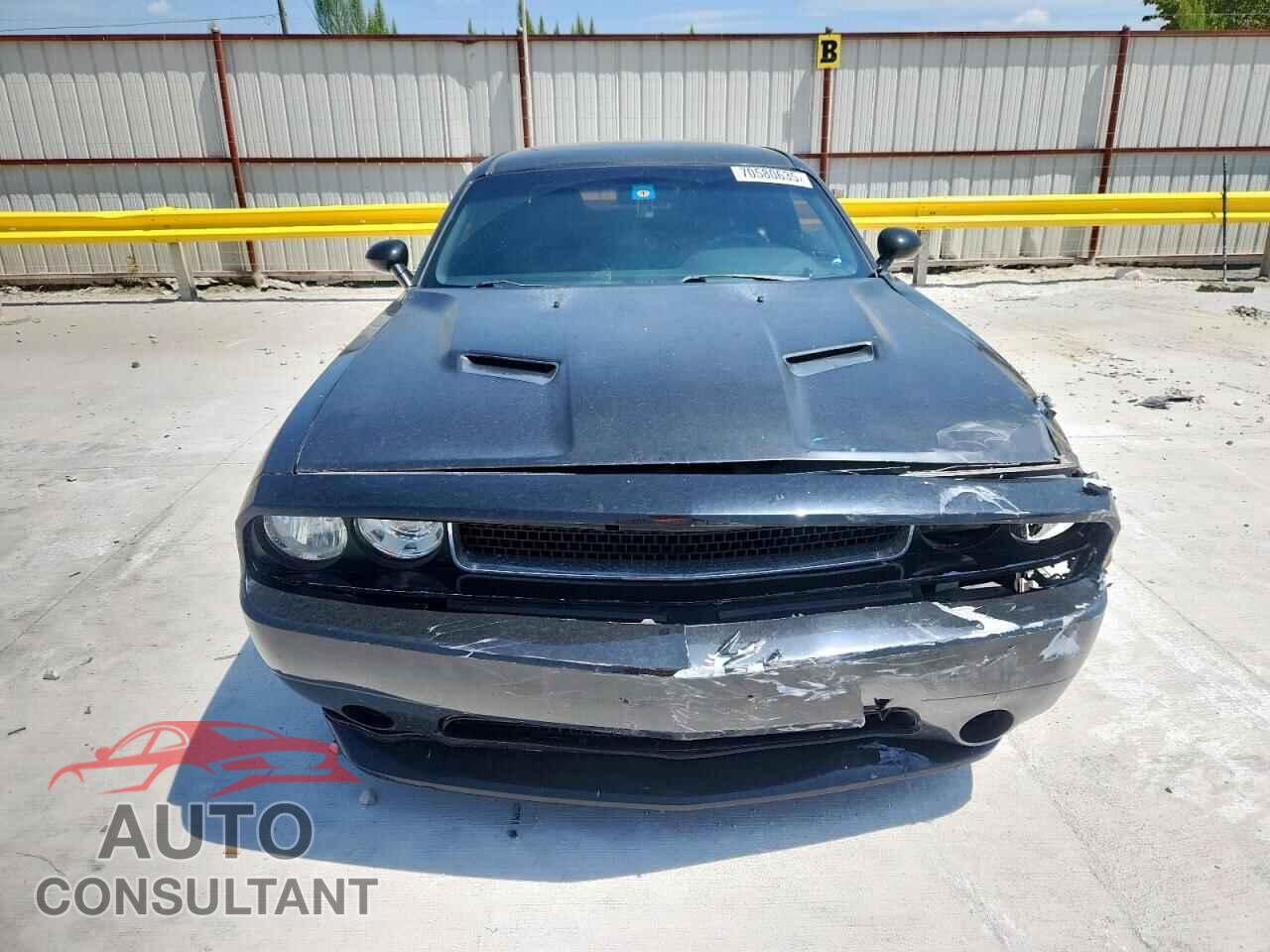 DODGE CHALLENGER 2013 - 2C3CDYAG5DH704373