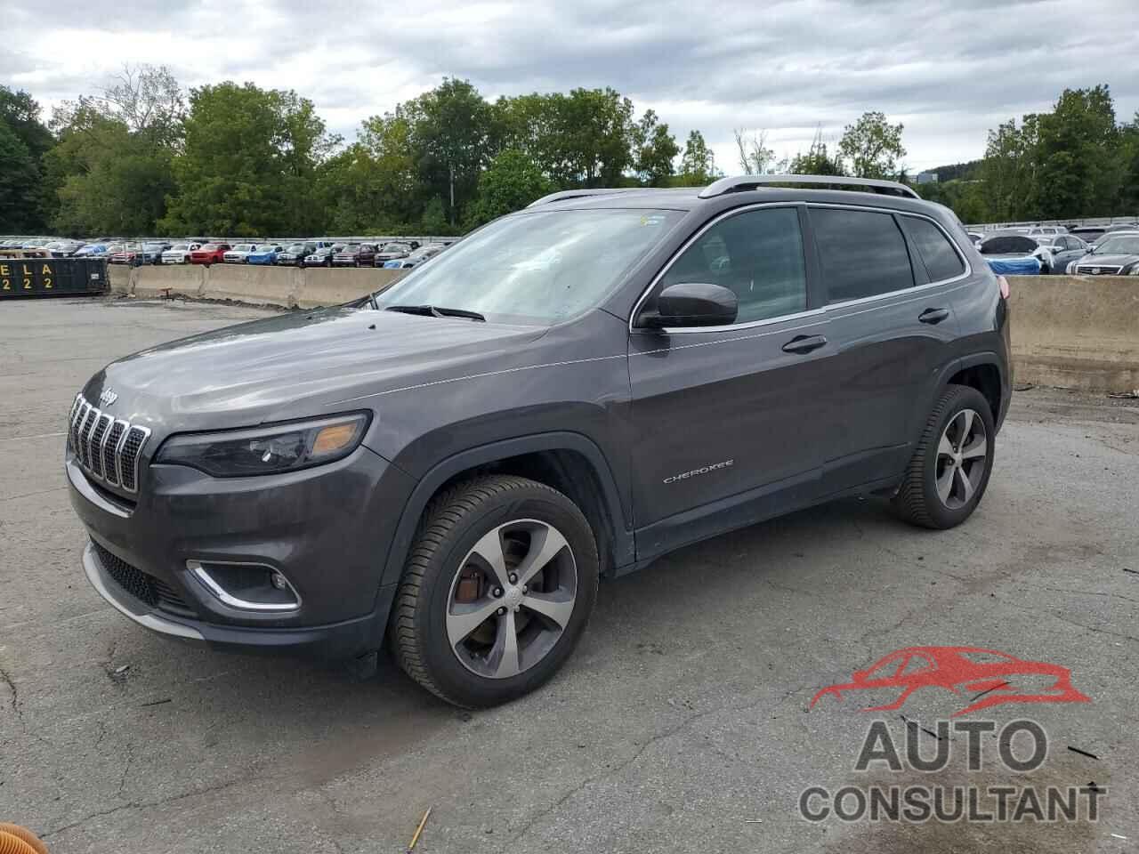 JEEP GRAND CHER 2019 - 1C4PJMDN1KD163065