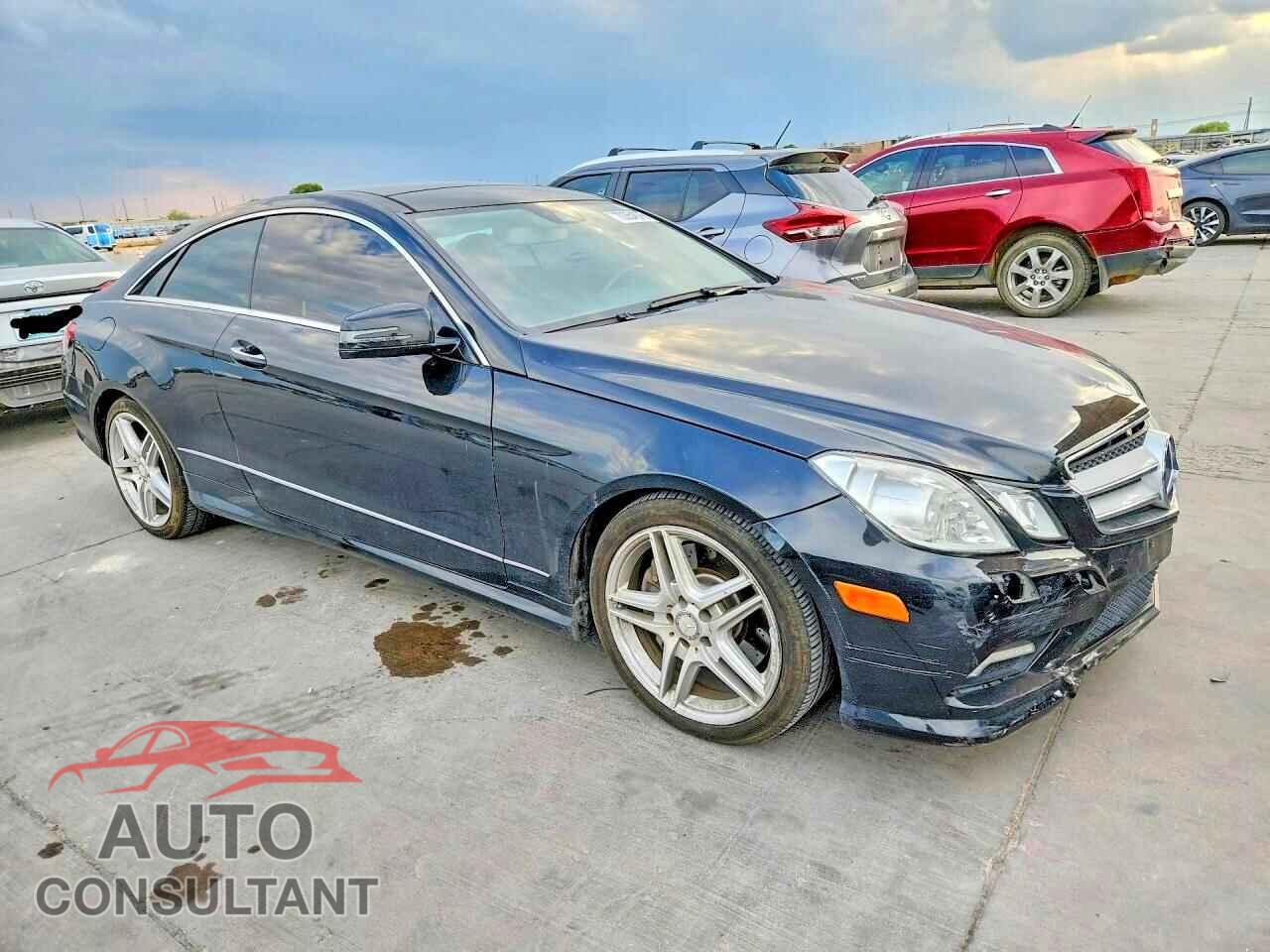 MERCEDES-BENZ E-CLASS 2011 - WDDKJ7CB9BF068251