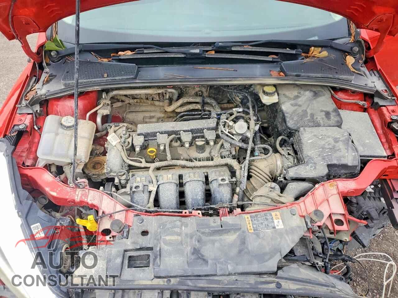 FORD FOCUS 2017 - 1FADP3F29HL276197
