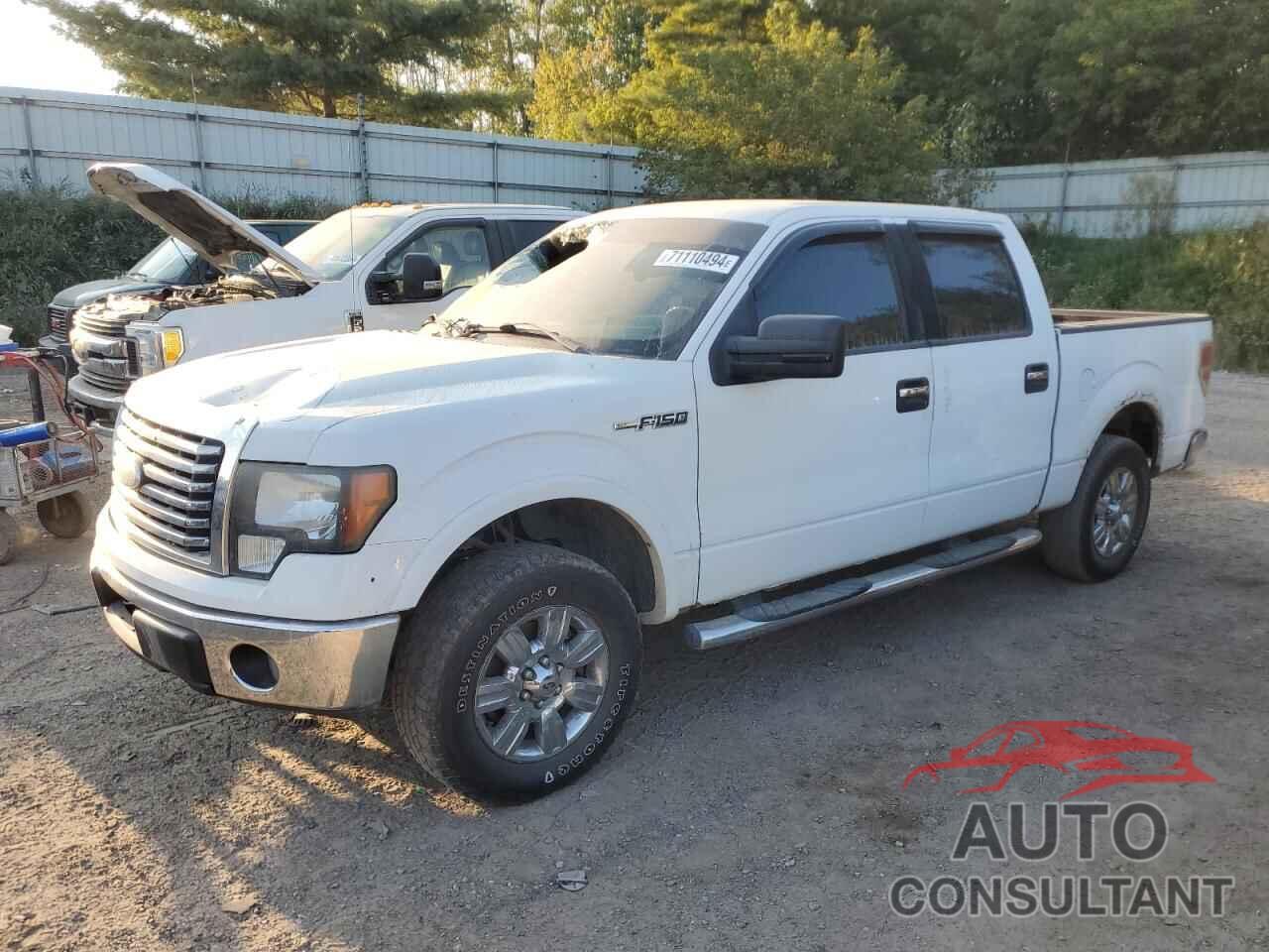 FORD F-150 2010 - 1FTEW1C87AKA56325