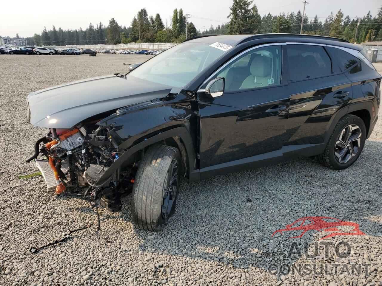 HYUNDAI TUCSON 2024 - KM8JECD12RU245958