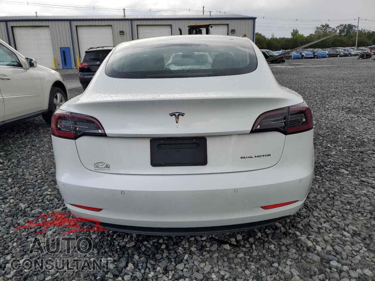 TESLA MODEL 3 2019 - 5YJ3E1EB0KF365653