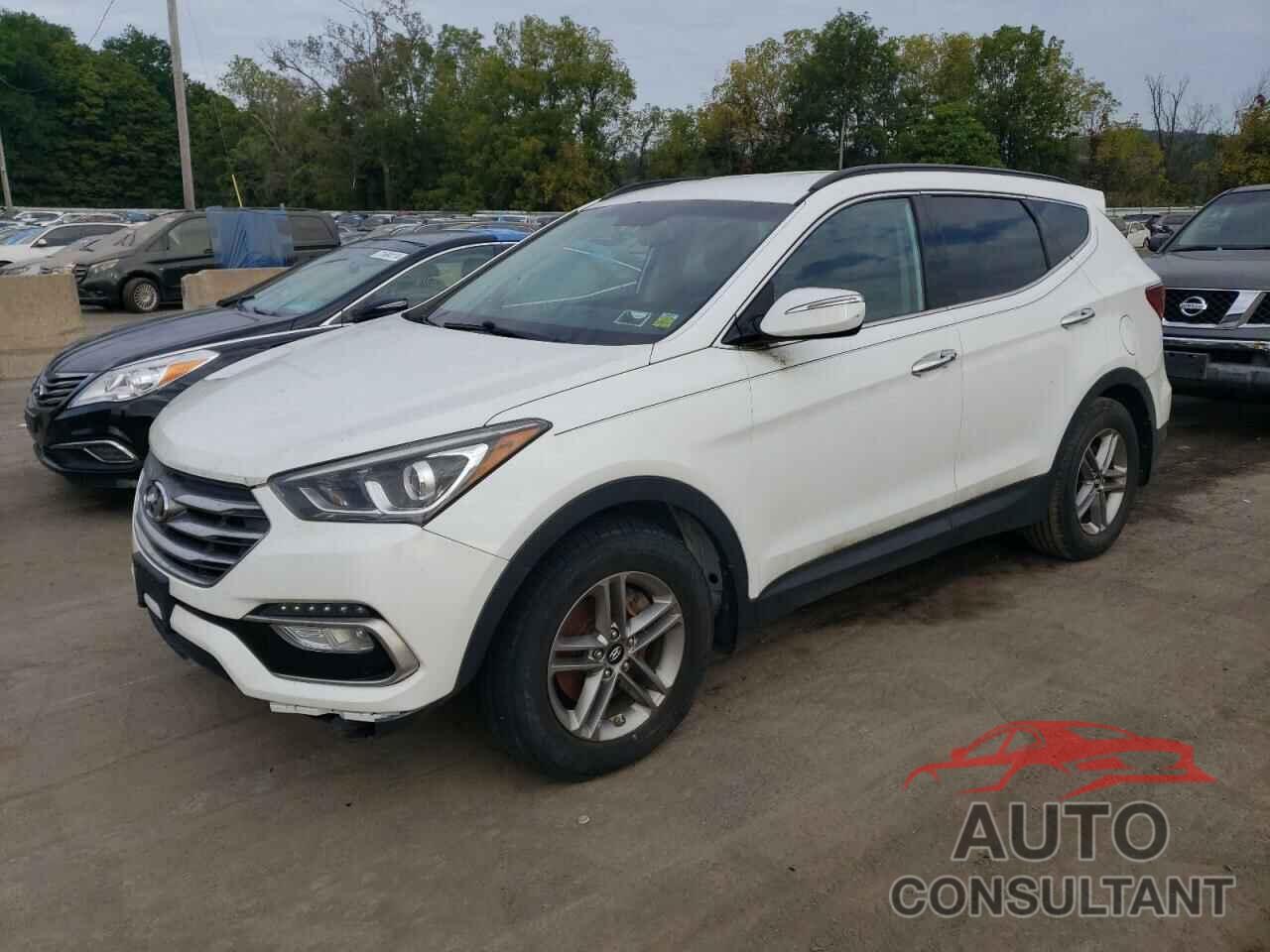 HYUNDAI SANTA FE 2017 - 5NMZUDLB0HH007798