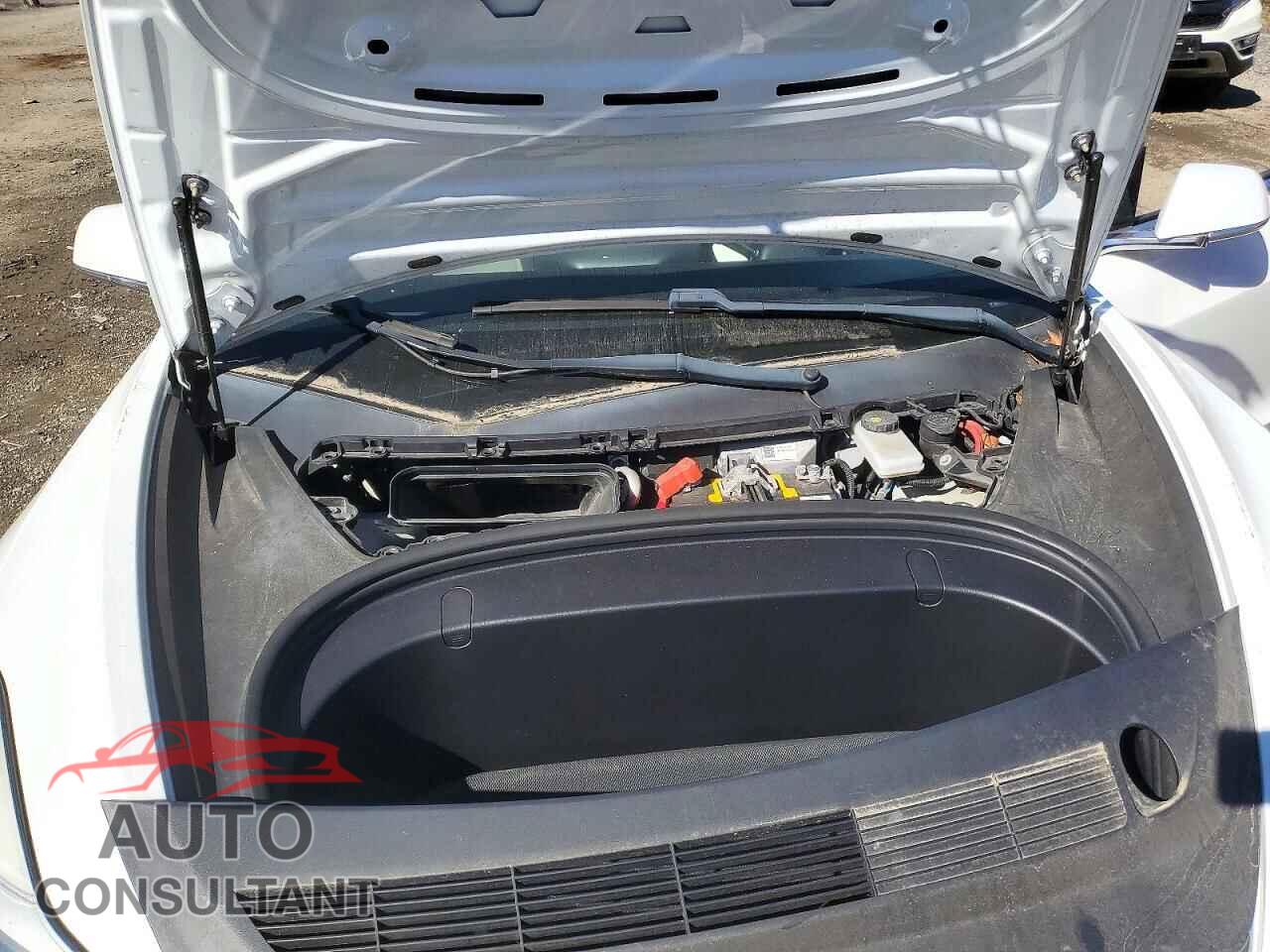 TESLA MODEL 3 2019 - 5YJ3E1EA3KF407613
