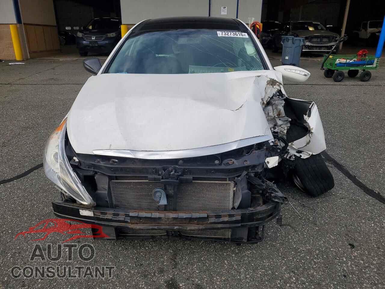 HYUNDAI SONATA 2013 - 5NPEC4AC2DH596475