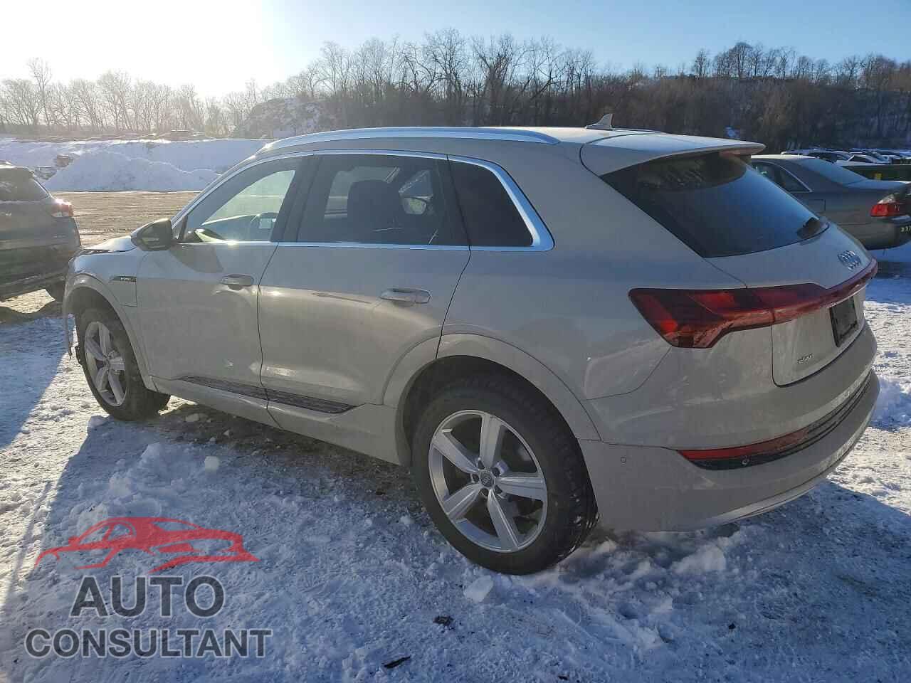 AUDI E-TRON 2019 - WA1VAAGE1KB014033