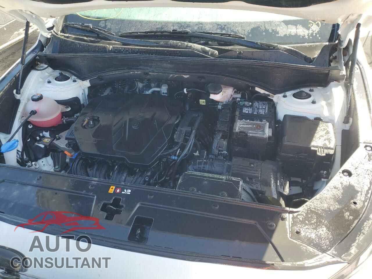 HYUNDAI SANTA FE 2023 - 5NMS14AJ5PH498016
