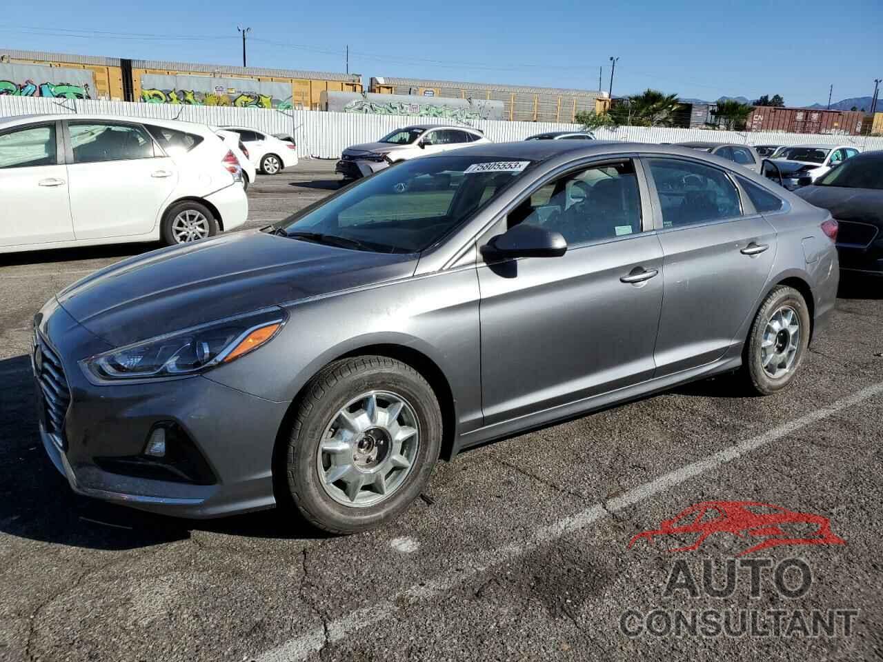 HYUNDAI SONATA 2019 - 5NPE24AF5KH742880