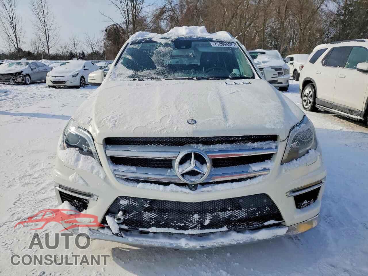 MERCEDES-BENZ GL-CLASS 2014 - 4JGDF2EE2EA276550