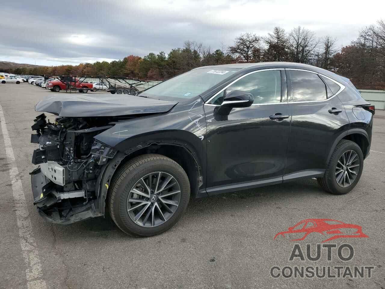 LEXUS NX 350 BAS 2024 - 2T2AGCEZ7RC036212