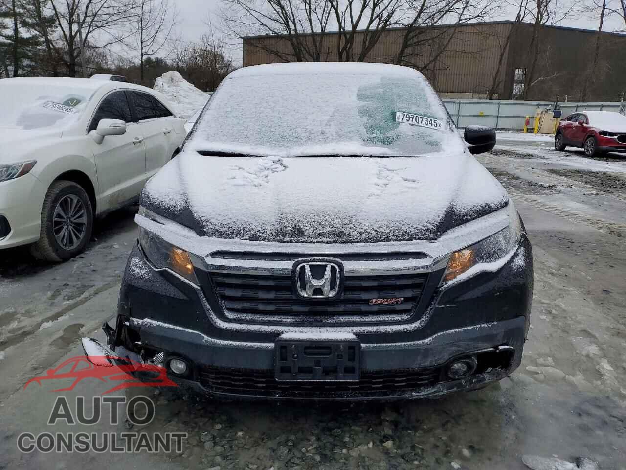 HONDA RIDGELINE 2019 - 5FPYK3F13KB044844