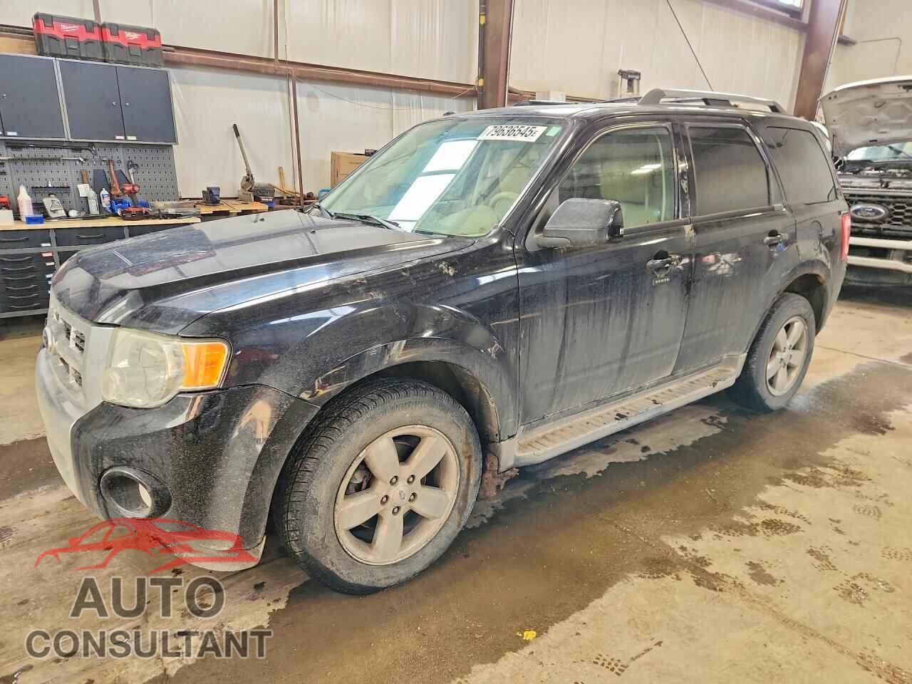 FORD ESCAPE 2010 - 1FMCU9EG4AKD08785