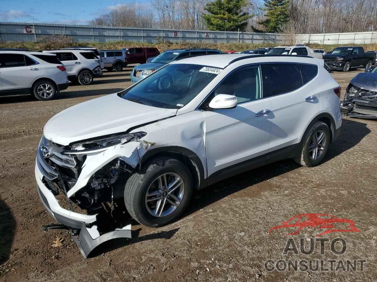 HYUNDAI SANTA FE 2018 - 5NMZUDLB5JH063001