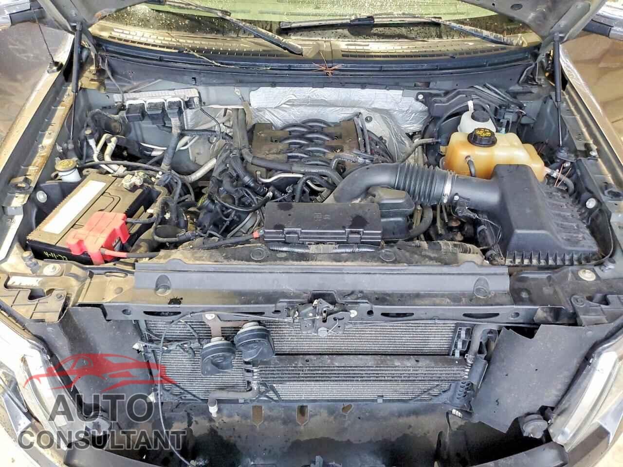 FORD F150 2011 - 1FTFW1EF6BFA91447