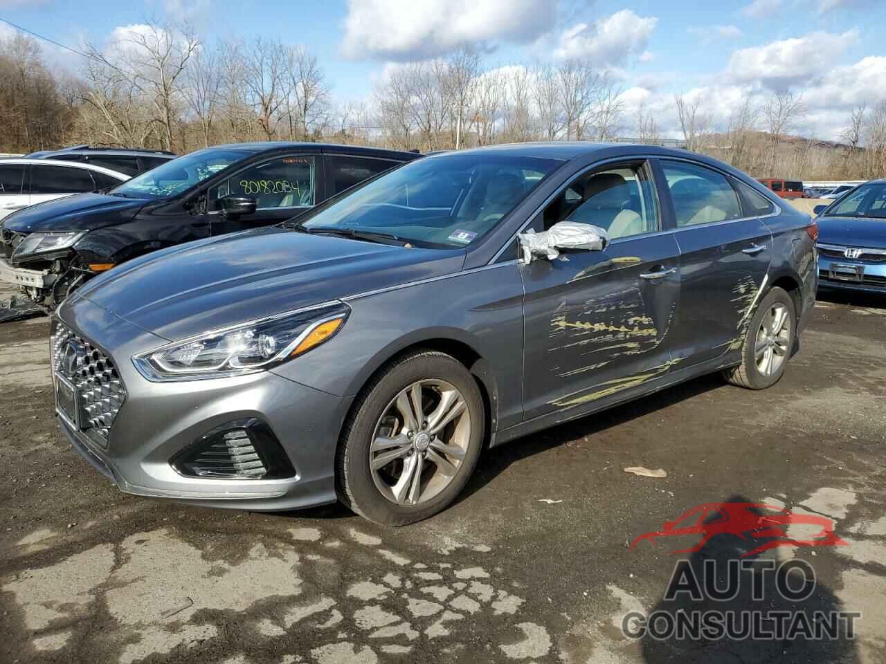 HYUNDAI SONATA 2019 - 5NPE34AF3KH790987